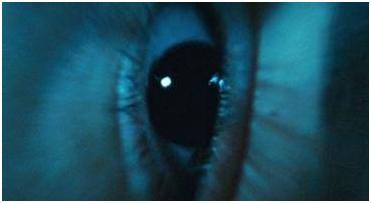 Pan’s Labyrinth — Guillermo del Toro